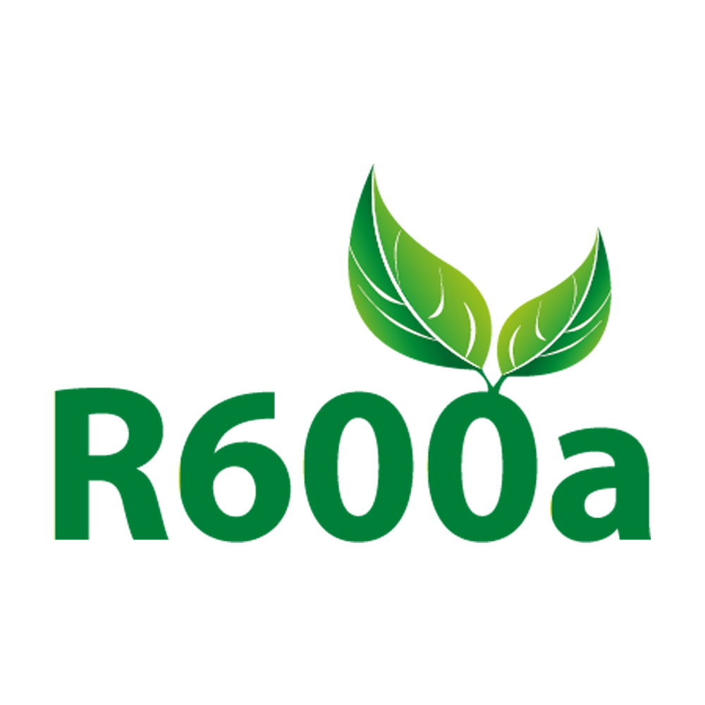 005R600-big.jpg