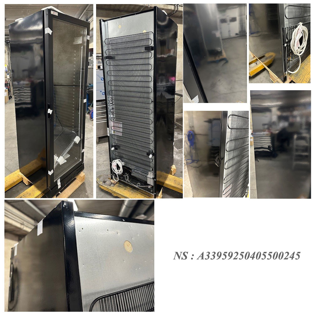 003-WR-38CS-SB-2EME-big.jpg