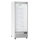Vitrina frigorífica vertical, 1 puerta, 615 litros - BLANCO