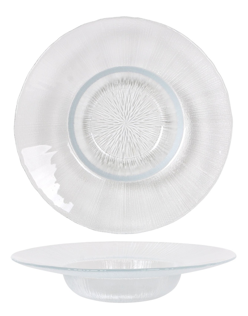 DEGUSTATION PLATE ASTER ø20x4cm