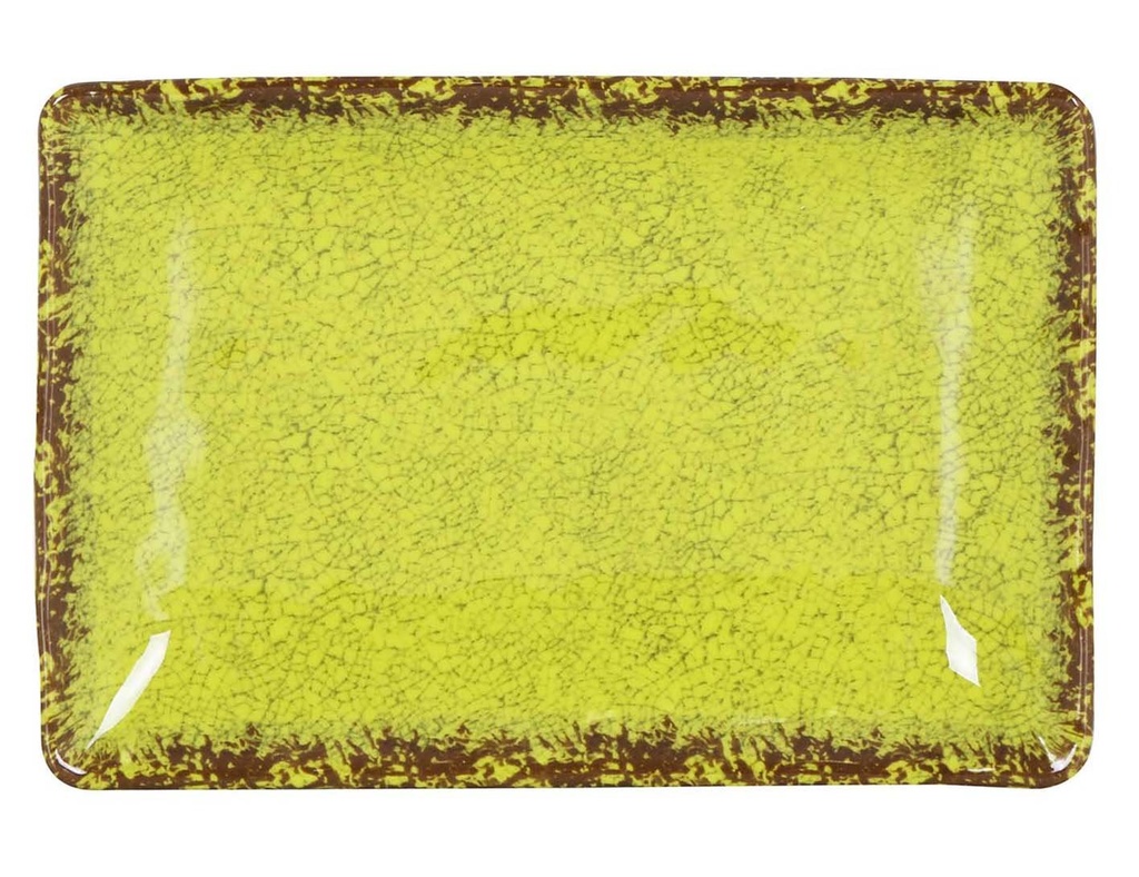 #-24- PISTACHIE RECT. TRAY GUAYABA30x21x