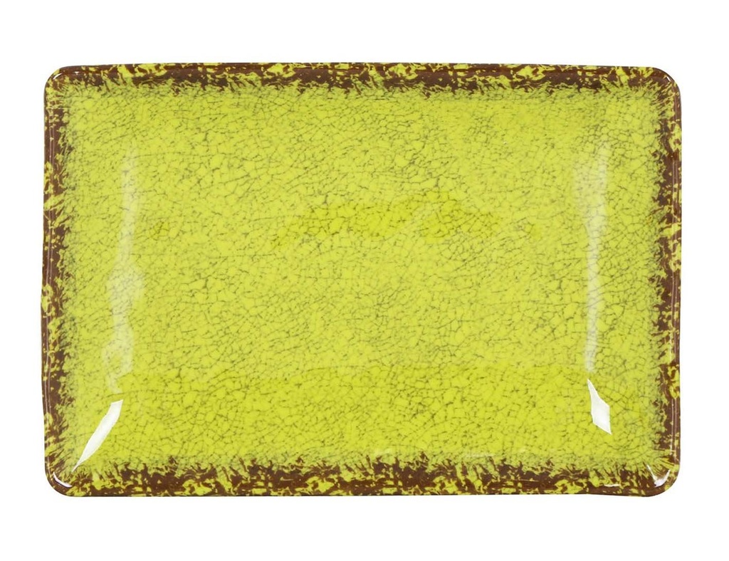 #-48- PISTACHIE RECT. TRAY GUAYABA 25x17