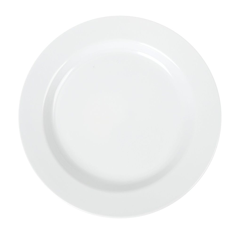 MELAMINE DINNER PLATE