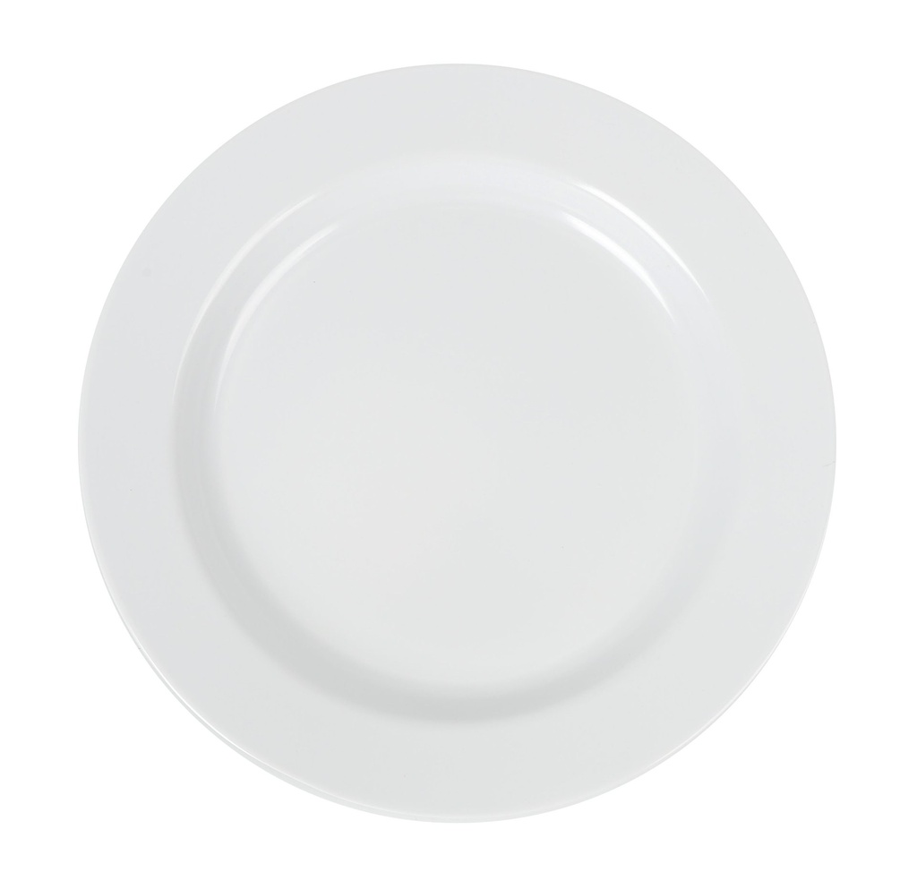 MELAMINE DINNER PLATE
