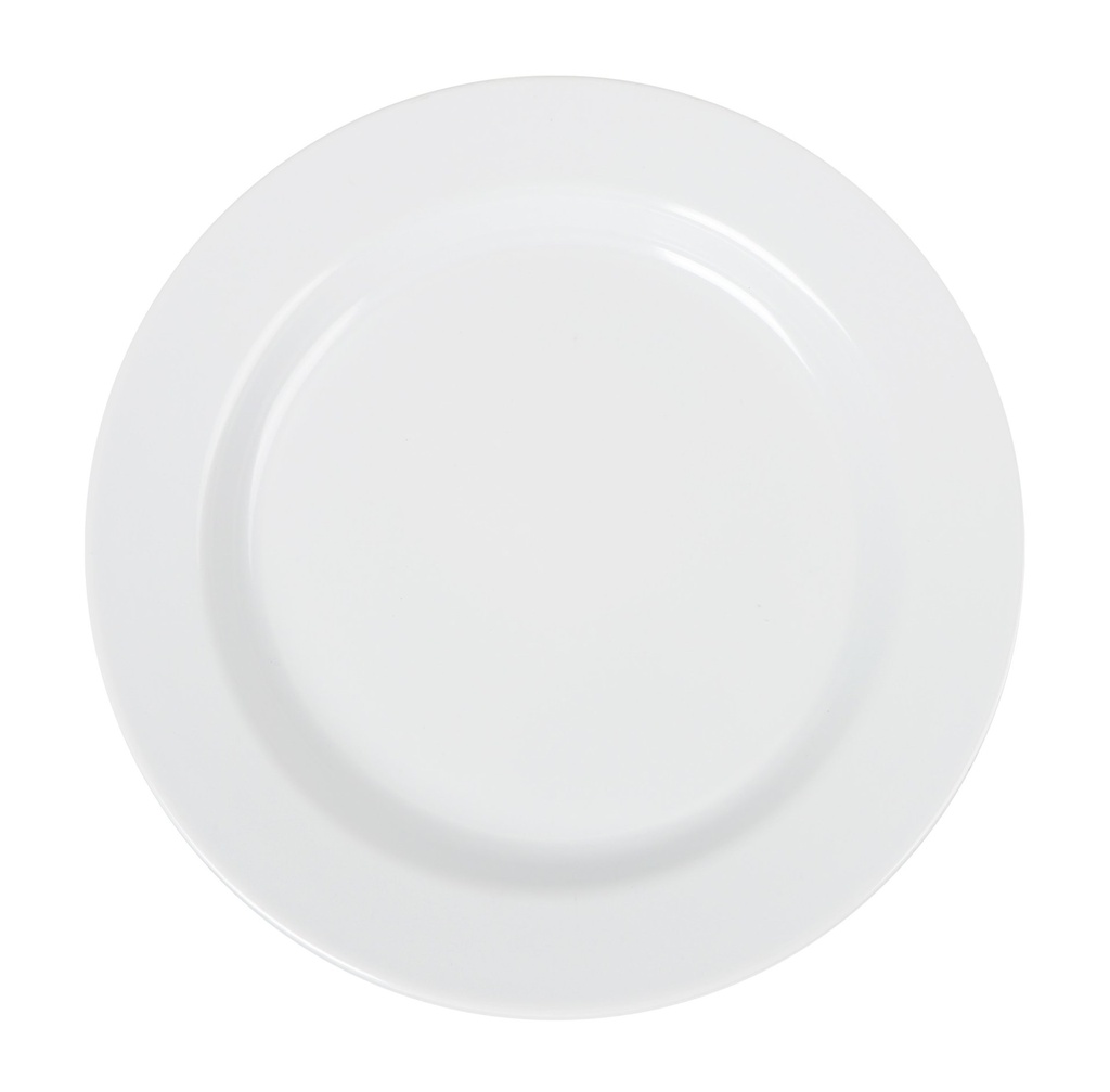 MELAMINE DINNER PLATE