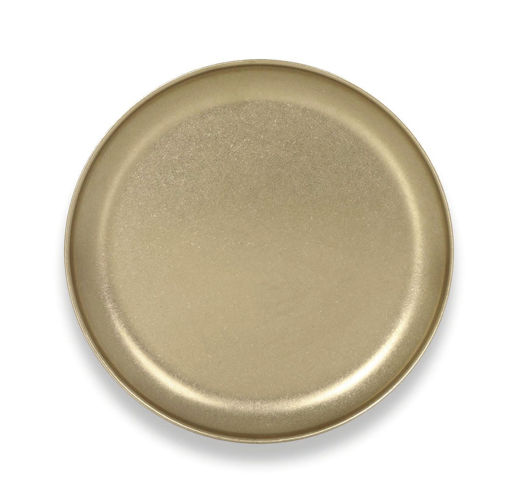 #-72- GOLDEN FLAT PLATE INOX VINTAGE ø23