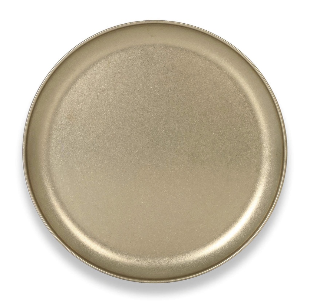 #-48- GOLDEN PRES. PLATE INOX VINTAGE ø3