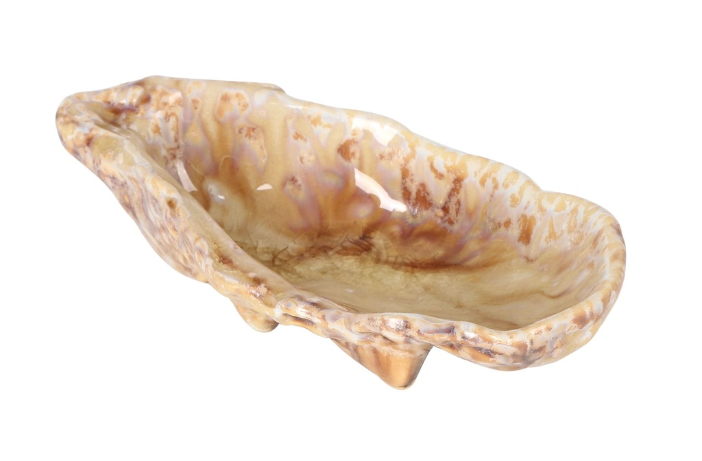 [P1505035] #-24- OYSTER MOMI 13x7x3.5cm