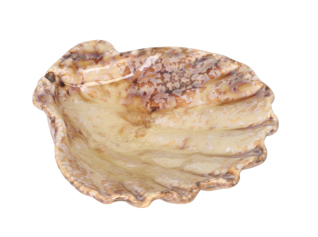 [P1505034] #-24- SCALLOP TRAY MOMI 13x13x4cm