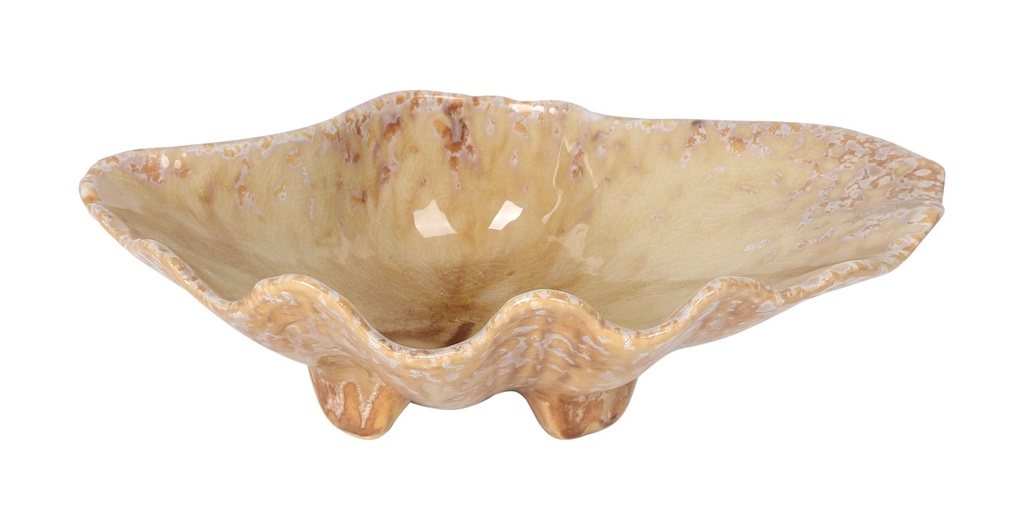 [P1505033] SHELL TRAY MOMI 20x15x6cm
