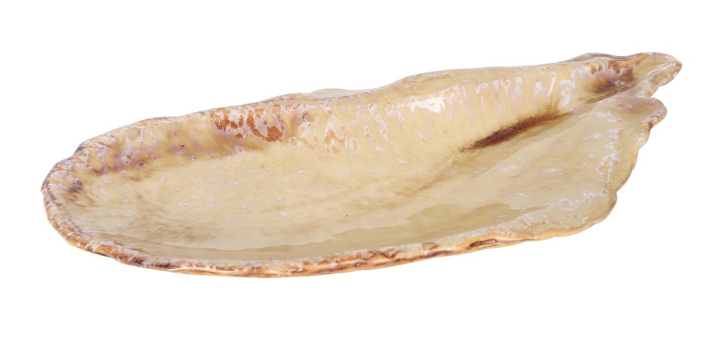 [P1505031] MUSSEL TRAY MOMI 34x15.5x3.5cm
