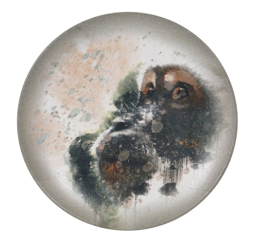 [B928002AH] FLAT PLATE MONKEY-SAVANNA  ø27x2.5cm