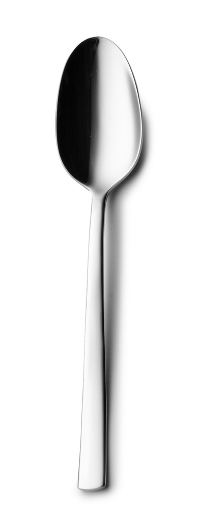 #-48- DESSERT SPOON PETRA 18/0