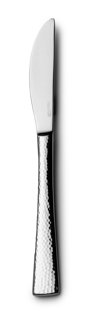 #-48- STEAK KNIFE MERCURY 18/0