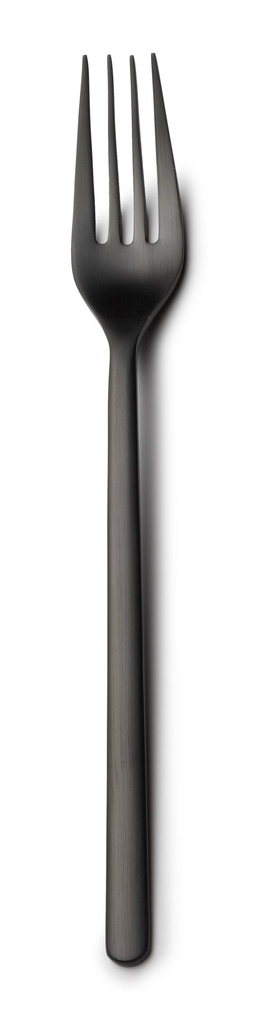 #-48- DESSERT FORK NATURE 18/0 MATT BLAC