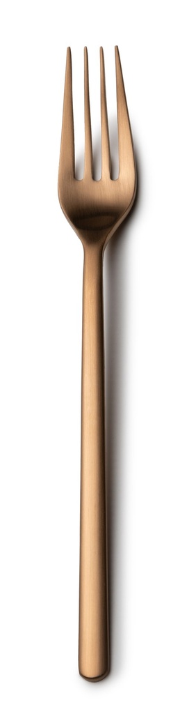 #-48- DESSERT FORK NATURE 18/0 MATT COPP