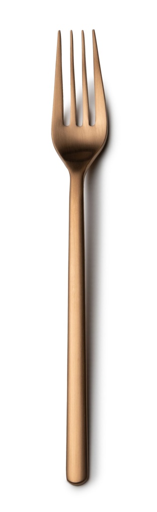 #-48- DINNER FORK NATURE 18/0 MATT COPPE