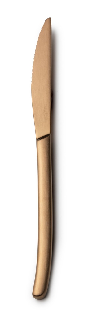 #-48- DINNER KNIFE NATURE 13/0 MATT COPP