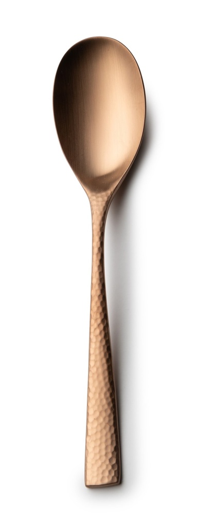 #-48- DINNER SPOON MERCURY 18/0 MATT COP