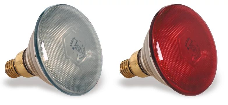Bombilla roja de 175 vatios para lámparas mantenedoras