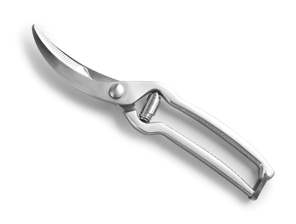 TIJERA PARA AVES INOX