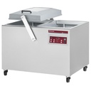 Máquina sistema vacío,  cámara doble 550x700xh235 mm. - 100 m3/h