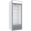 Vitrina refrigerada positiva 715 litros BLANCA con caja luminosa