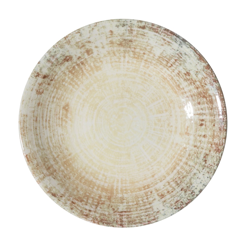 FOSIL LLANO PLATO 21CM (Caja 12u)