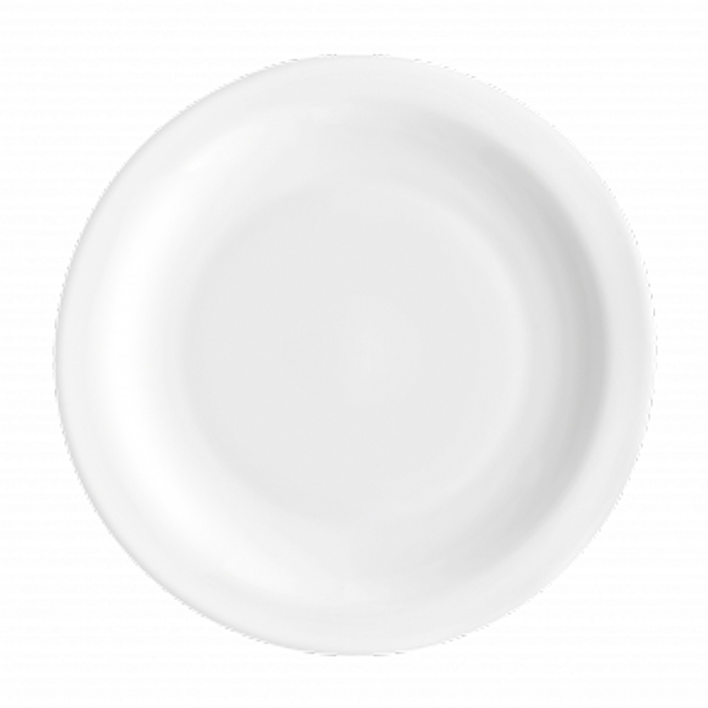 PERFORMA/CAREWARE RPROF POSTRE PLATO 19,5CM (Caja 4x6)