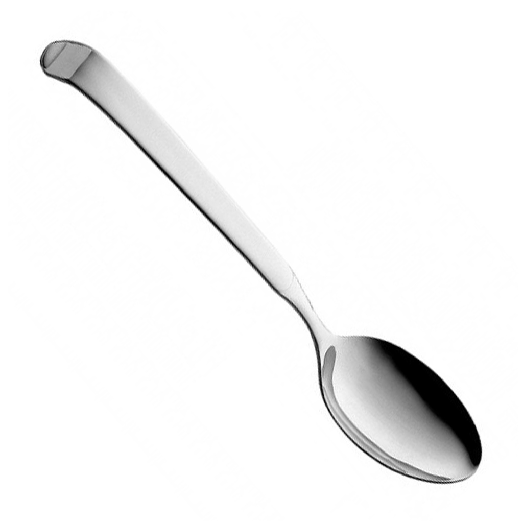 CUCHARA SERVIR 30CM INOX