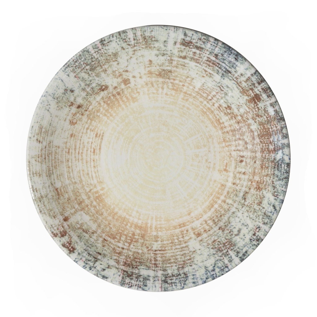 FOSIL LLANO PLATO 30CM