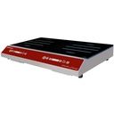 Placa de inducción 2 fogones (2x 1750 watt), toques táctiles
